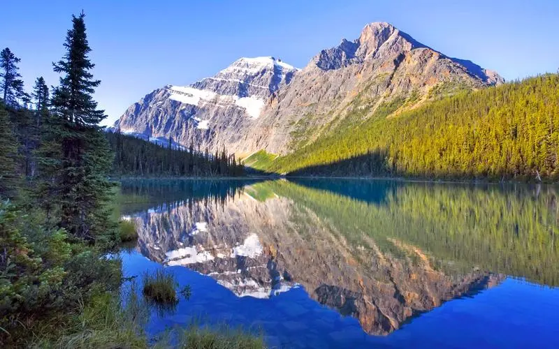 创新无人化
